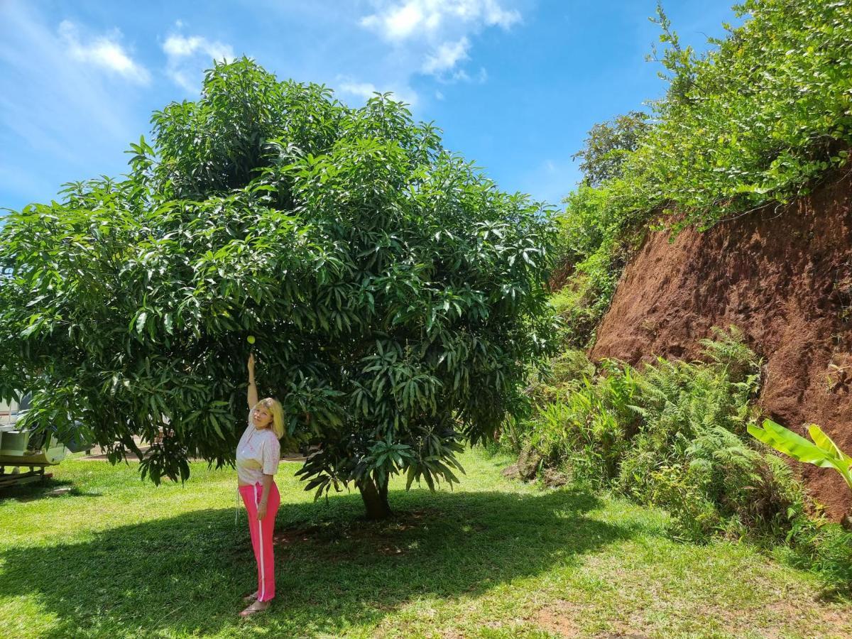 Mirella Villa Island Princess Villa อังส์ วอลแบร์ วิลเลจ ภายนอก รูปภาพ